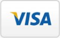 visa icon